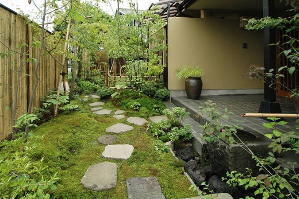 國(guó)富縱橫 國(guó)富縱橫